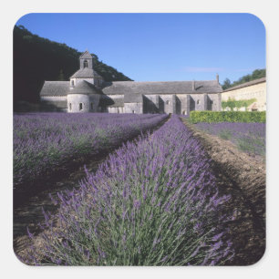 Senanque Abbey, Gordes, Vaucluse, Provence, Square Sticker