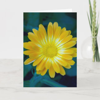 Send Flower to your friends that lasts. Card