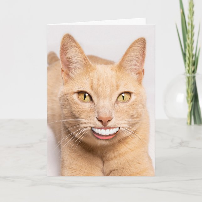 Sending a Smile Funny Cat with Human Teeth  Holiday Card (Front)