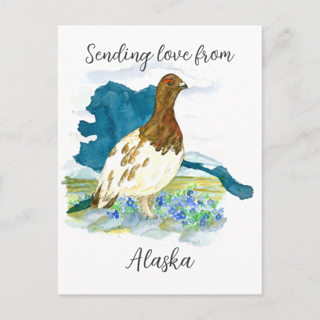 Sending Love From Alaska Willow Ptarmigan Bird Postcard (Front)