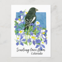 Sending Love From Colorado Lark Bunting Columbines
