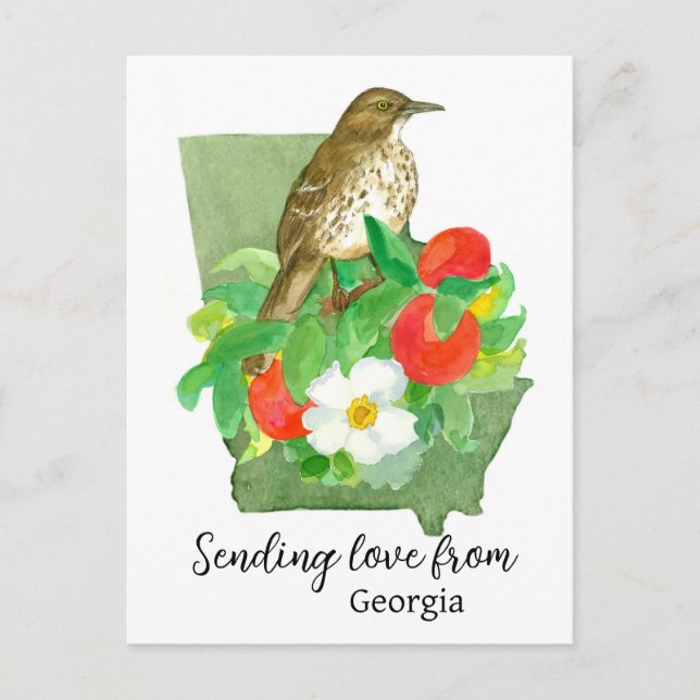 Sending Love From Georgia Bird Peach Rose Postcard (Front)