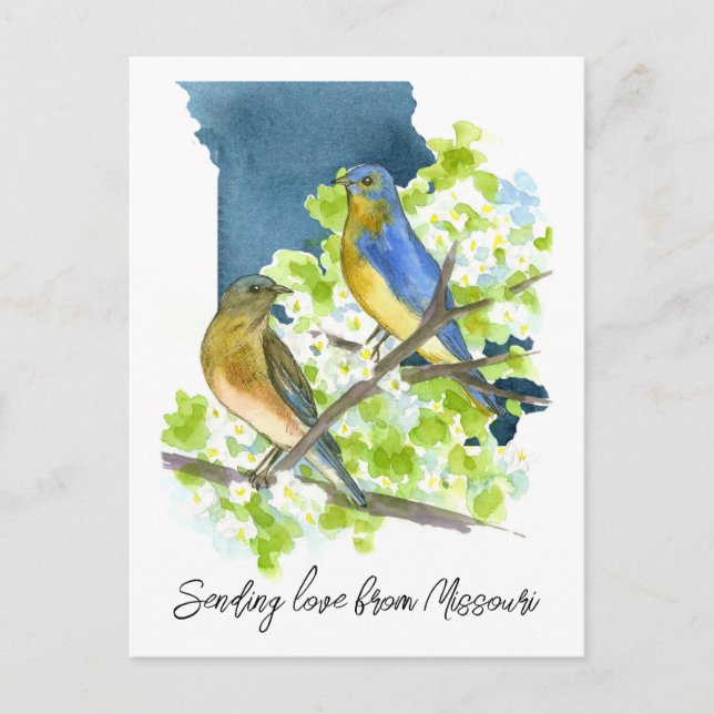 Sending Love Missouri Bluebirds Hawthorn Flower Postcard (Front)