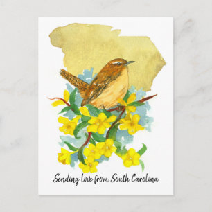 Sending Love South Carolina Wren Jessamine Postcard