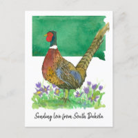 Sending Love South Dakota Pheasant Pasque Flower