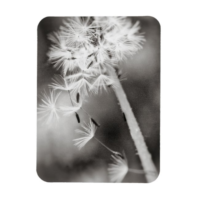 Sending Out Wishes Magnet (Vertical)