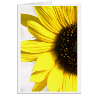 Sending some sunshine