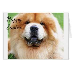 SENDING U "DOG" & NOT A DUCK AT **EASTER**