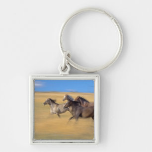 Seneca, Oregon, USA Key Ring
