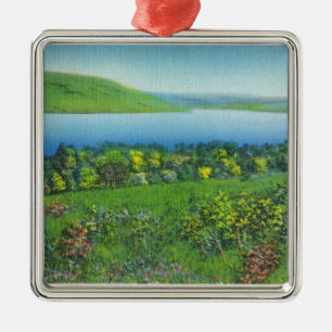 Seneca Point View of the Lake Metal Tree Decoration