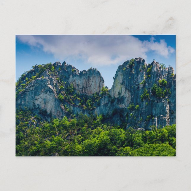Seneca Rocks in Summer, West Virginia Postcard (Front)