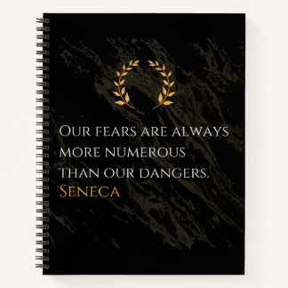 Seneca's Insight: Fears Compared to Real Dangers Notebook