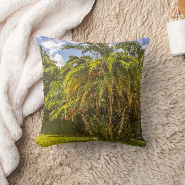 Senegal Date Palm Throw Pillow (Blanket)