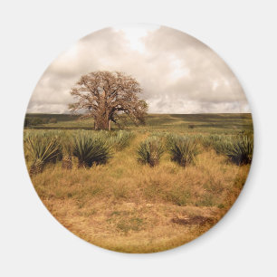 Senegal Landscape Magnet