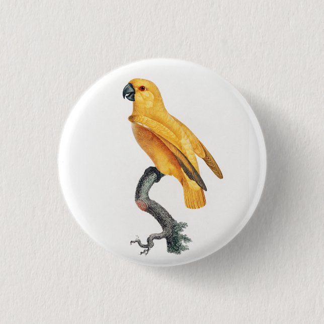 Senegal Parrot 3 Cm Round Badge (Front)