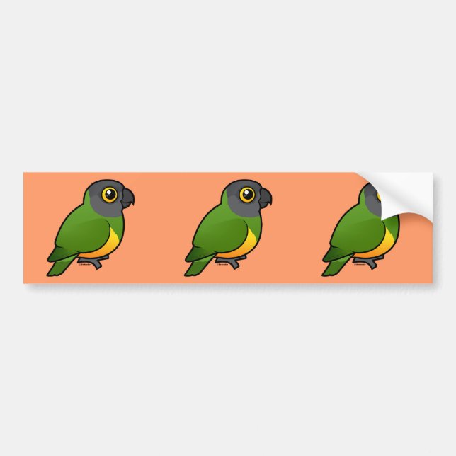 Senegal Parrot Bumper Sticker (Front)