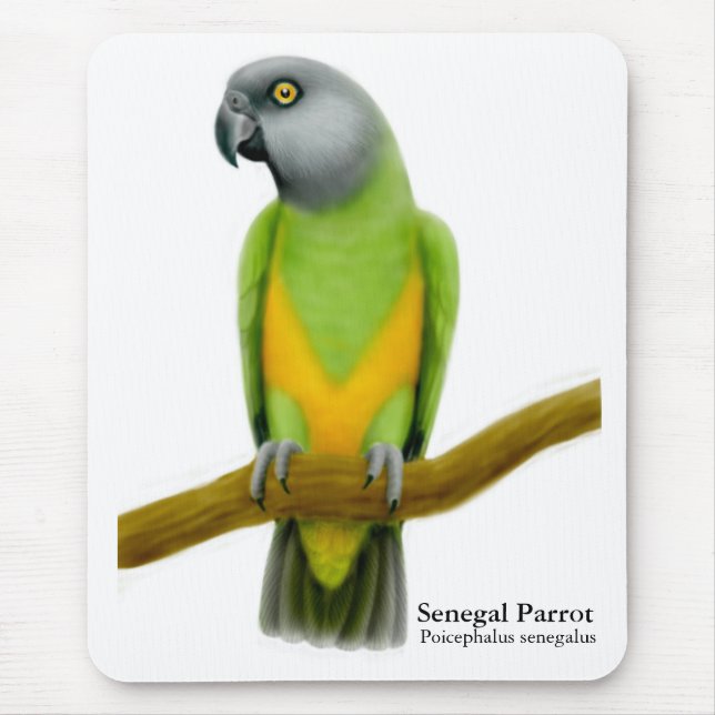 Senegal Parrot Mousepad (Front)