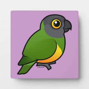 Senegal Parrot Plaque