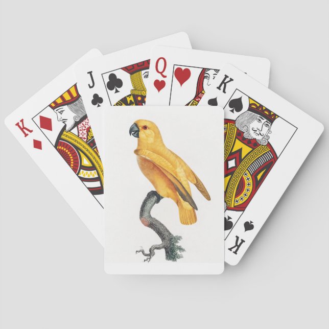 Senegal Parrot Playing Cards (Back)