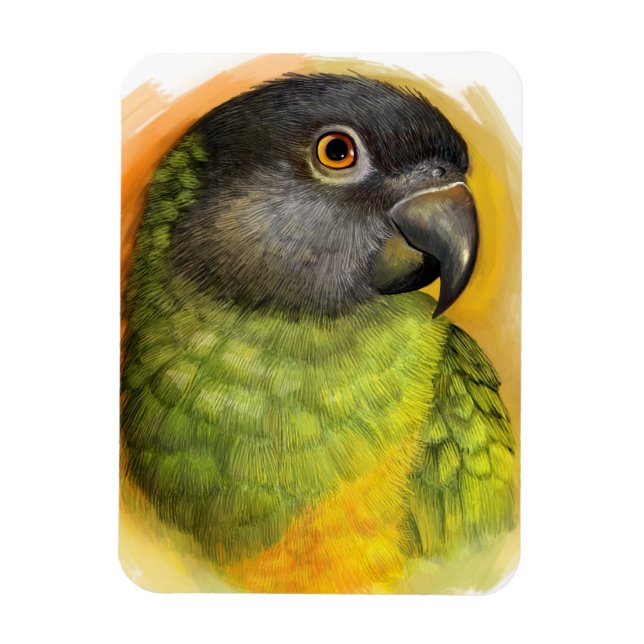 Senegal parrot realistic painting magnet (Vertical)