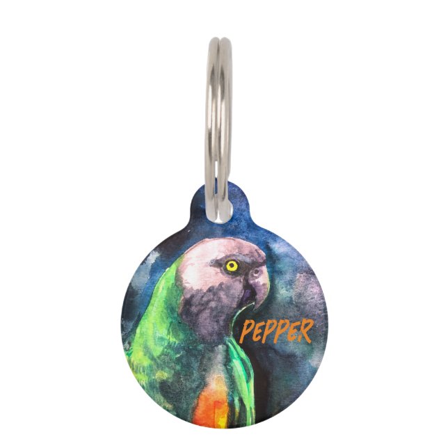 Senegal parrot Round Pet Tag (Front)