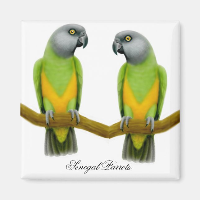 Senegal Parrots Magnet (Front)