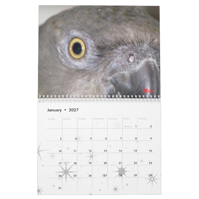 Senegals 2009 Calendar - Customised (Jan 2027)