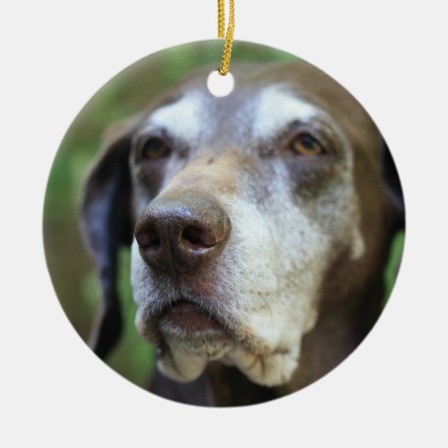 Senior German Pointer ornament (Front)