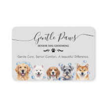 Senior Pet Grooming Salon Dog Grooming Business