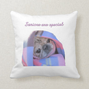 senior pug picture cushion