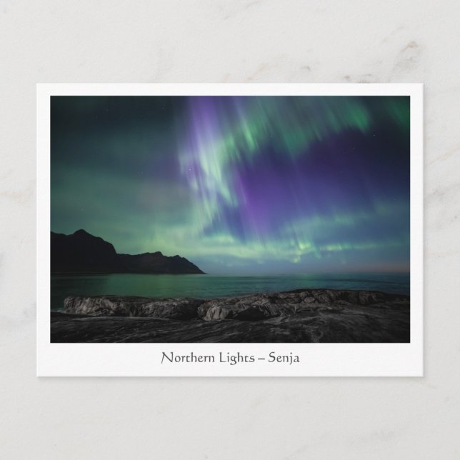 Senja, North Norway Postcard (Front)