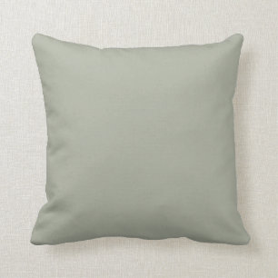 Sensible Sage Green Solid Colour Pairs SW 0066 Cushion
