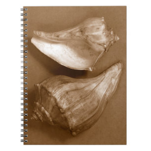 Sensual Shells Notebook