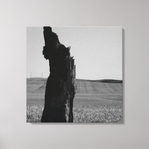 Sentinal Canvas Print