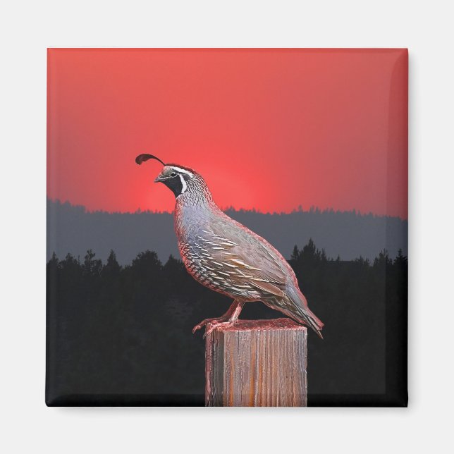 SENTINEL AT SUNSET MAGNET (Front)