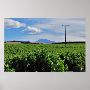 Sentinel Over the Vineyard Poster