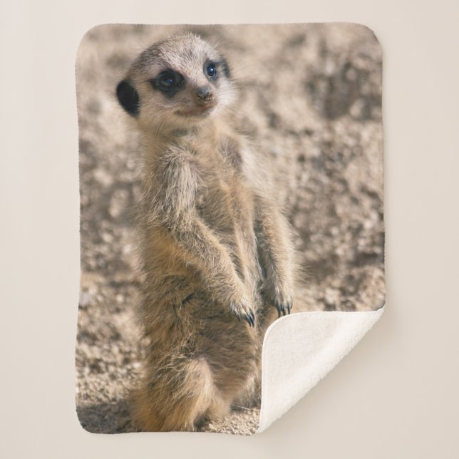 Sentry-in-Training Sherpa Blanket (Front)