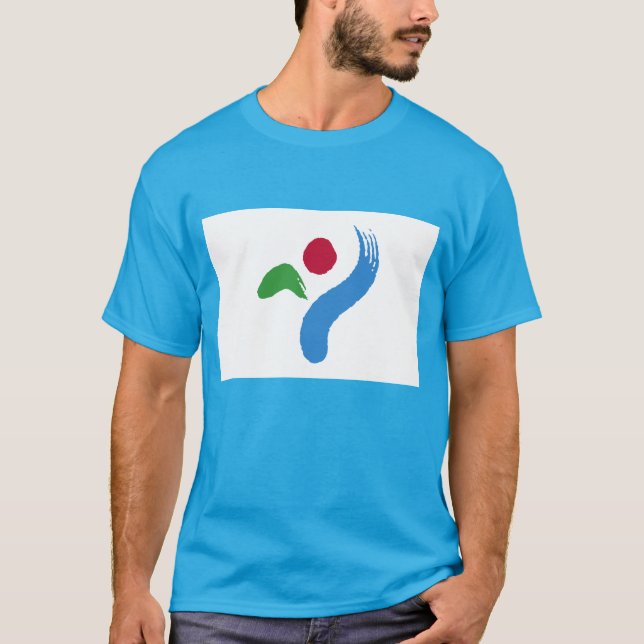 Seoul South Korea Flag T-Shirt (Front)