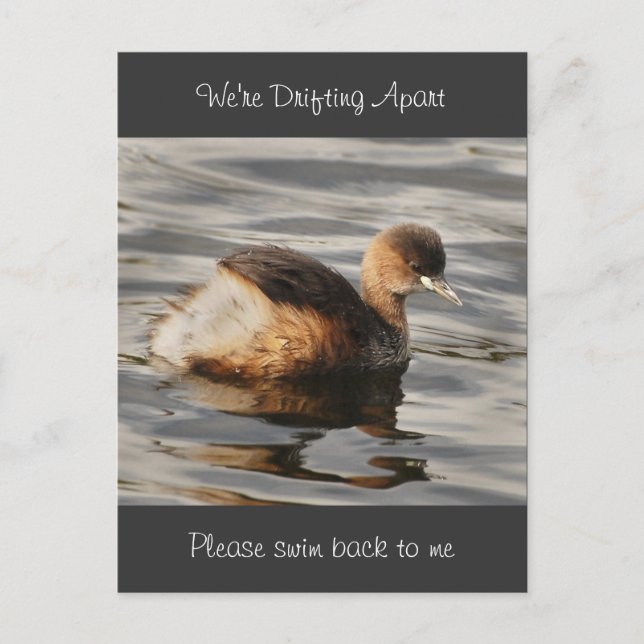 Separation & estranged relationship cards (Front)