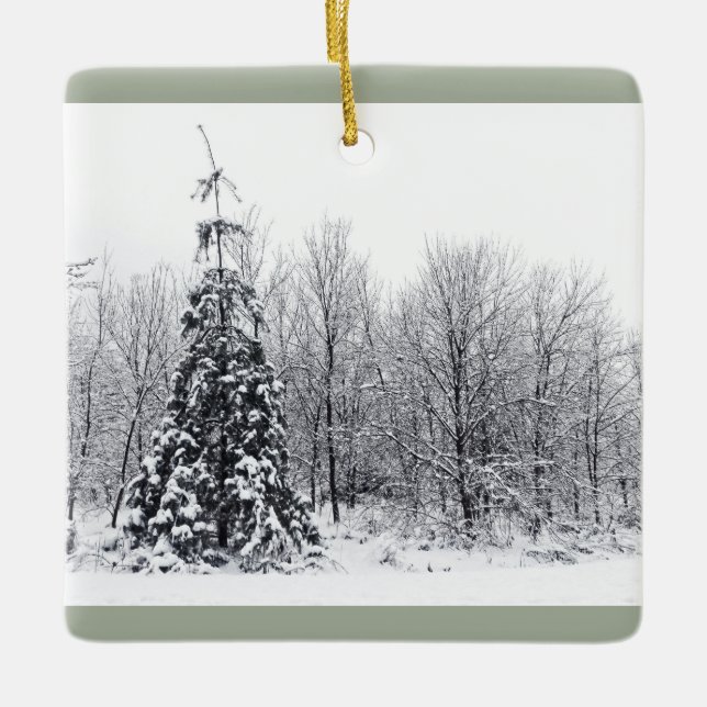 separation with certainty ceramic tree decoration (Front)