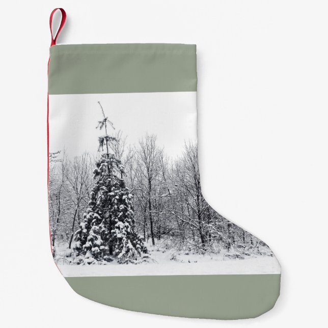 separation with certainty small christmas stocking (Front)