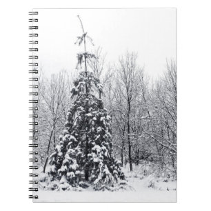 separation with certainty spiral notebook