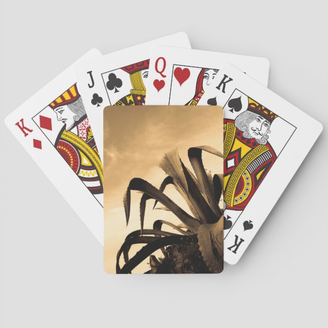 Sepia Aloe Plant Playing Cards (Back)
