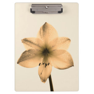 sepia amaryllis clipboard