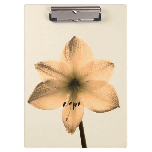 sepia amaryllis clipboard (Front)