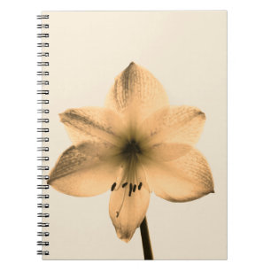 sepia amaryllis spiral notebook