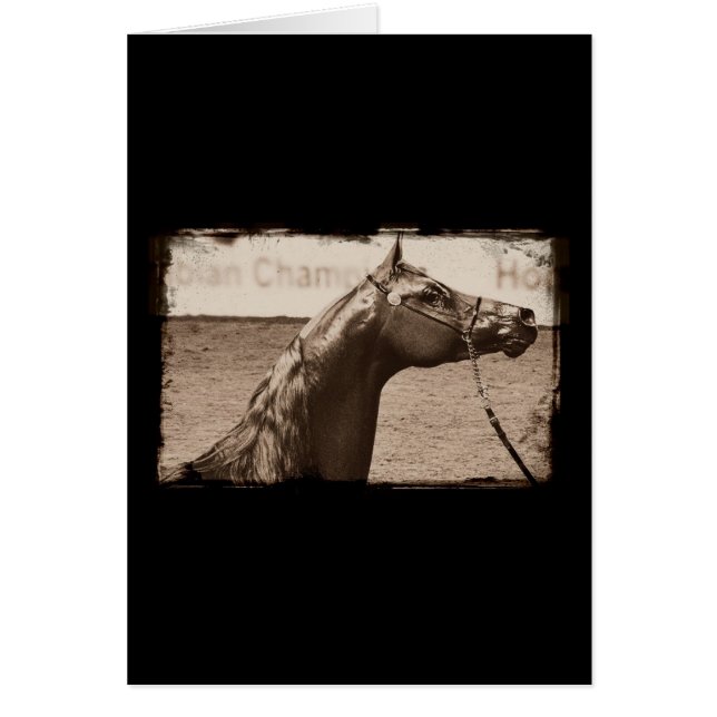 Sepia Arabian Stallion (Front)