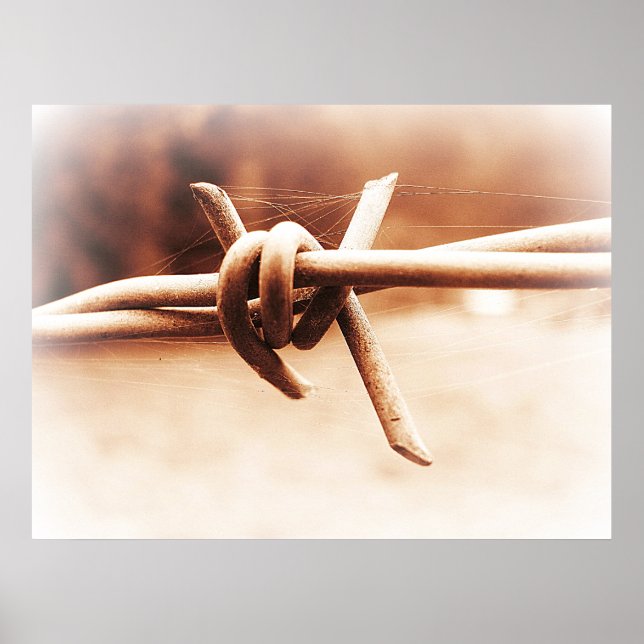 Sepia Barbwire Close up Photographic Poster (Front)