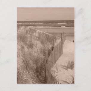 Sepia Beach Scene Postcard