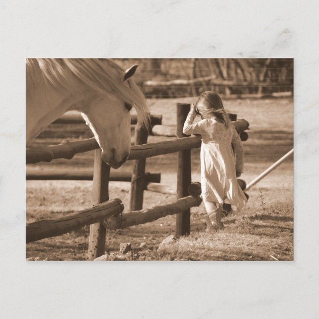 Sepia Black and White Horse and Child Postcard (Front)